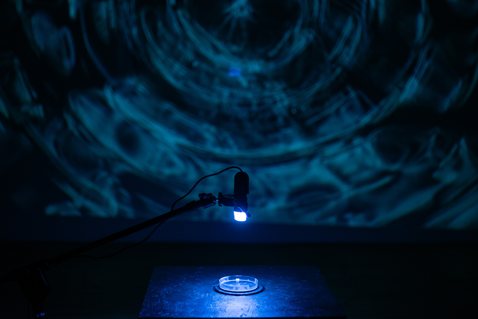 Resonating Absence installation view